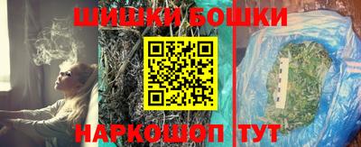 хмурый Бийск