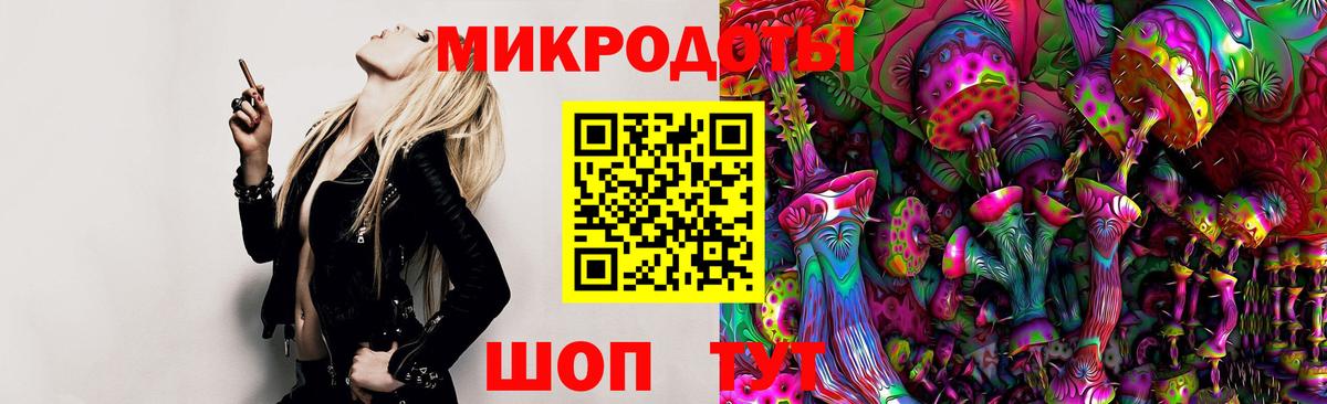 Псилоцибиновые грибы Psilocybine cubensis Балабаново
